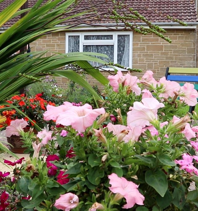 Communal gardens.Still001